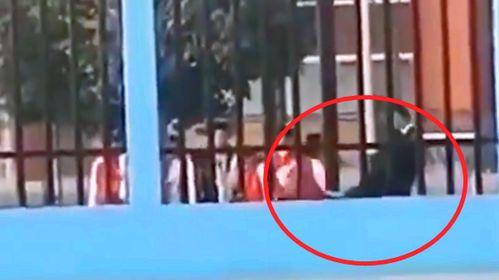 南华学校爆料视频最新  第1张